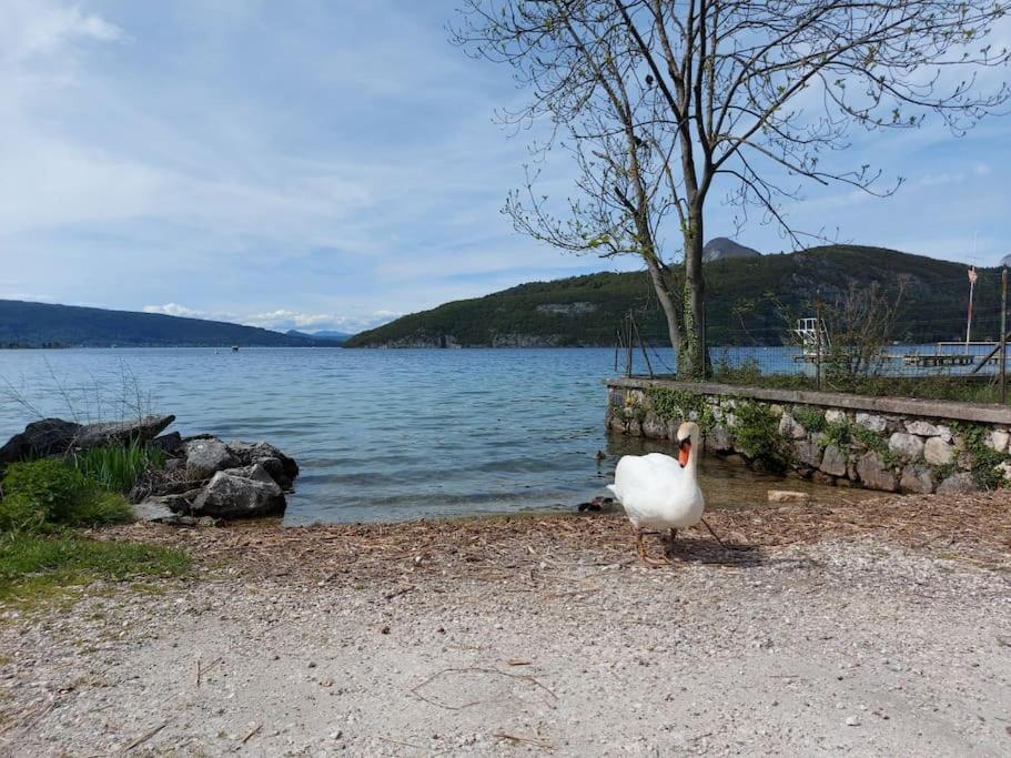 Charmant Et Spacieux Appartement A Quelques Pas Du Lac Duingt Luaran gambar